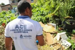 O Assunto é Rádio — A Prefeitura de Salvador intensificou as ações de combate ao Aedes aegypti, mosquito responsável pela transmissão da dengue, zika e chikungunya. A estratégia inclui inspeções em imóveis, eliminação de criadouros, aplicação de larvicida, campanhas educativas e mutirões de limpeza. Segundo a Secretaria Municipal da Saúde (SMS), cerca de 80% dos focos do mosquito são encontrados dentro das residências, o que torna a participação dos moradores uma das principais medidas para reduzir a proliferação do inseto. Entre as recomendações estão eliminar recipientes que possam acumular água, manter caixas-d’água fechadas, limpar calhas e ralos, descartar materiais que não são utilizados e permitir a entrada dos […]